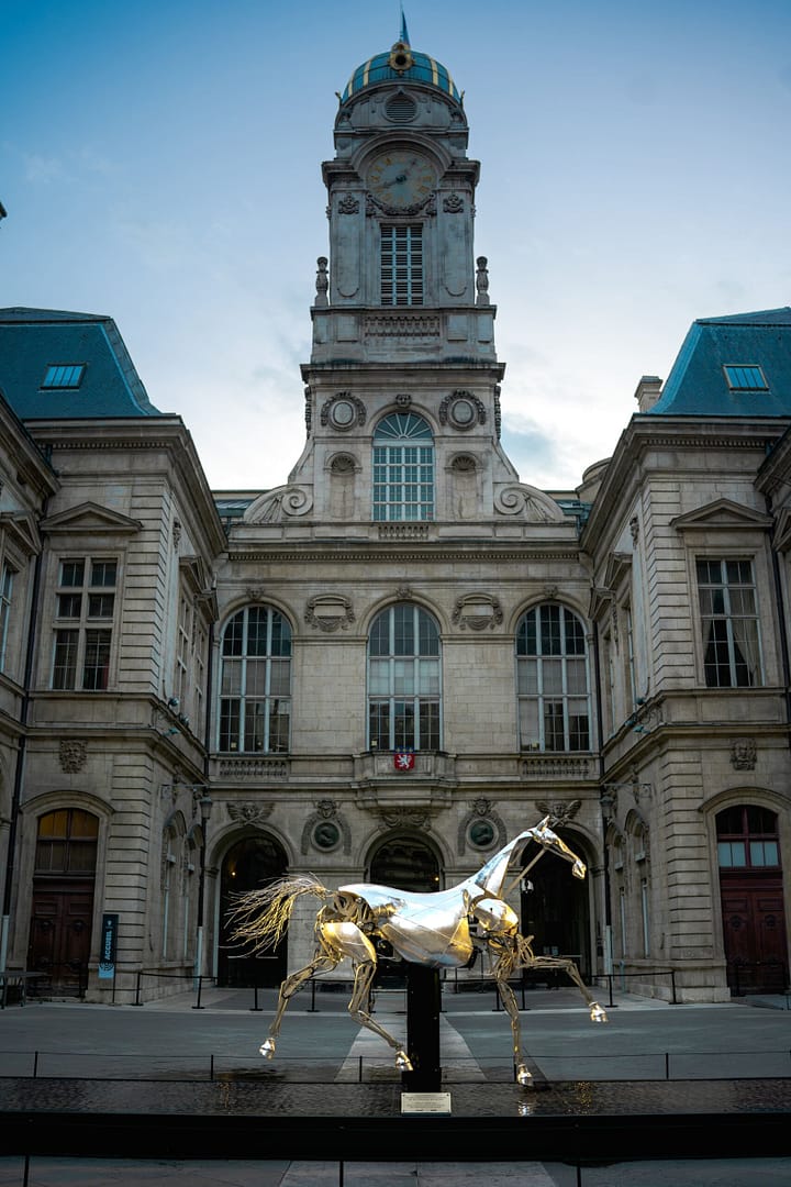 Zeus Horses – Lyon